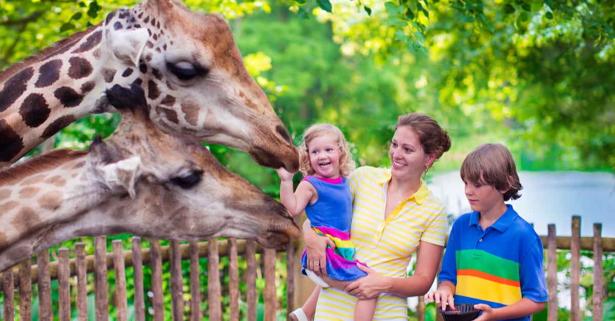 Why Say Yes to Living in West Orange, NJ?